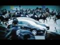 200 horses in Amsterdam