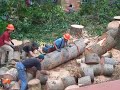 Logging in Olympia - Slide Show - Day 2