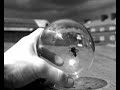 Flies inside glass sphere Flies inside glass sphere