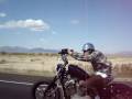 Nightster: Orange County 2009 #4