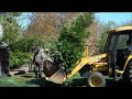Click here to watch this video Planting Arborvitae.County of Bucks PA PLANT SALE 215-249-1236 : orserlandscaping.com