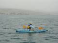 videos de ISIS KAYAKING TOMALES BAY