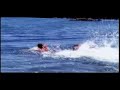 Hunter and Hunted: Great White Sharks