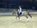canter in the dome