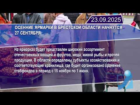 Новостная лента Телеканала Интекс 23.09.25.