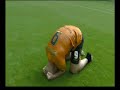 Hull City v Bristol city at Wembley