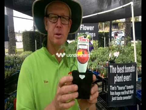 Tim's Spring tour