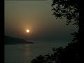 kahve koydum fincana (mican) kahve koydum fincana (mican)