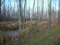 arctic cat 500 mudding