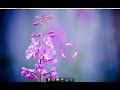 Wallpaper Download & Changer - Webilder - Ubuntu Linux 8.04