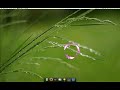 Wallpaper Download & Changer - Webilder - Ubuntu Linux 8.04