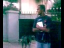 viji vs dog