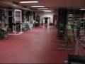 Training in BAK`s gym 27/1-08