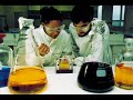 Syphilis-A-Human-Dis
