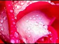 THE MAGIC NATURE FEELINGS By Mr Doddy