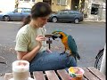 Skippy loves ice cream in Berlin