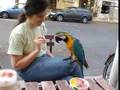 Skippy loves ice cream in Berlin - Amadea
