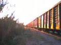 FXE Con colores fnm 3723, 3135 y 3157 Puebla