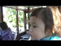 Zoo--December 1st 2008.mov