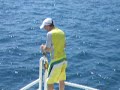saseahmet, marmaris, yunuslar saseahmet, marmaris, yunuslar