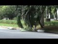 videos de Downhill slide - Luiz Fernando Gastão