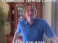 Find Termite Company in Santa Monica El Redondo Termite ...