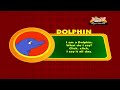 Animal Sounds in Hindi - Dolphin