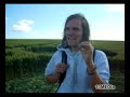 East Field Mother Earth Crop Circle Filmed on the 7-7-07 East Field Mother Earth Crop Circle Filmed on the 7-7-07