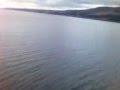 Loch Ness Monster Might Be A Plesiosaurus