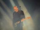 Comfortably Numb - David Gilmour - Live in Venice 12/08/2006