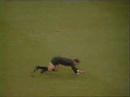 -CALCIO- Arbito un po imbranato