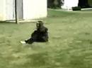 friends fight