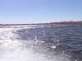 Speed Boat *Lynzie* vs Kayak *Zyno*
