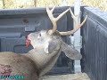 RAGE BROADHEADS
