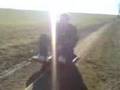 videos de Bldsinn