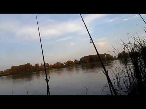 ловля на самарка ловля на самарка