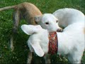 Bibbi & Hazel