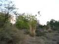 a journey through mnit part 3 of 4