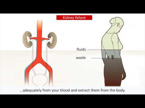 how to treat kidney pain