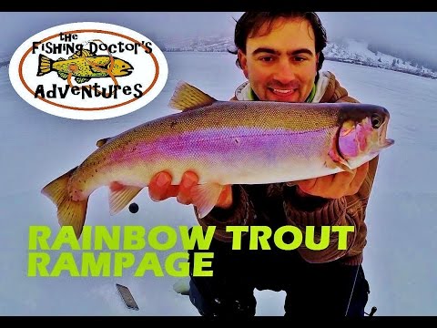 how to locate trout