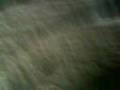 Hide And Seek .. Phoojas Cat Found Uss LOL