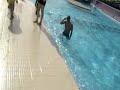 مالك بديل
