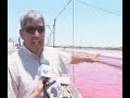 La Pampa del Tamarugal le da su color al salmón.
