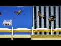 South County TV Spot South County TV Spot