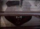 Hallie Stillwell Musuem