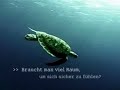 Smart Live Earth
