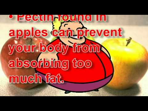 how to isolate phytochemicals