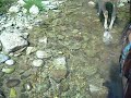 Risalita del ruscello a cavallo  Lurisia Cuneo LA CANUNIA