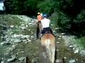 Risalita del ruscello a cavallo Lurisia Cuneo LA CANUNIA