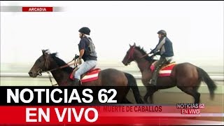 Hipódromo cerrado por muerte de caballos. – Noticias 62. - Thumbnail